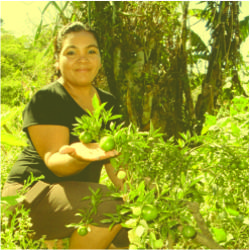 DERECHO HUMANO A LA ALIMENTACION